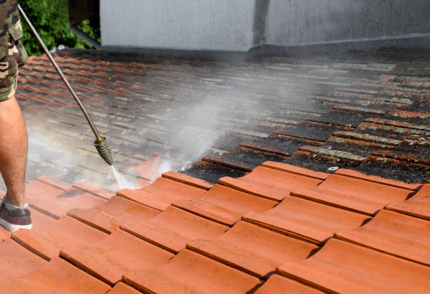Best Best Pressure Washing Companies  in Seguin, TX